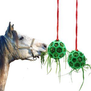 Horse Treat Ball Hay Feeder Toy Ball Hanging Feeding Toy